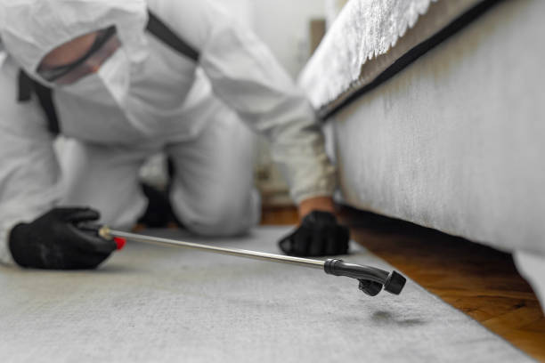 Professional Termite Control technician working in Mack, OH