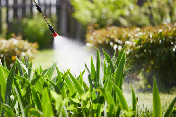 24/7 Emergency Termite Control experts in Mack, OH