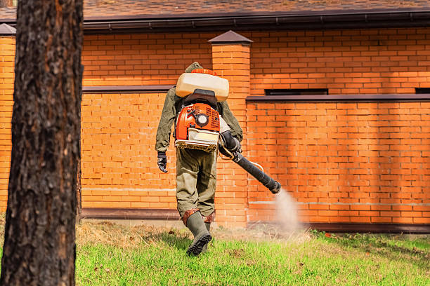 Top rated local Termite Control specialists in Mack, OH